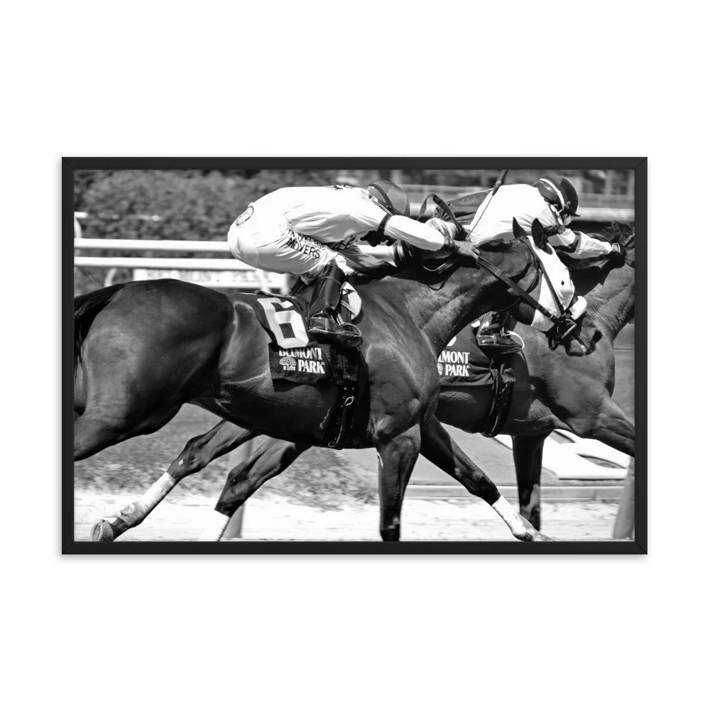 enhanced-matte-paper-framed-poster-(in)-black-24x36-transparent-6534402f06d58.jpg