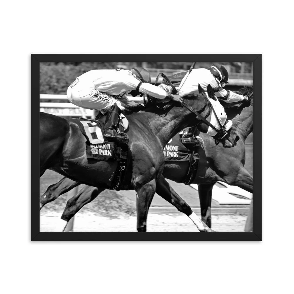 enhanced-matte-paper-framed-poster-(in)-black-16x20-transparent-6534402f07cbd.jpg