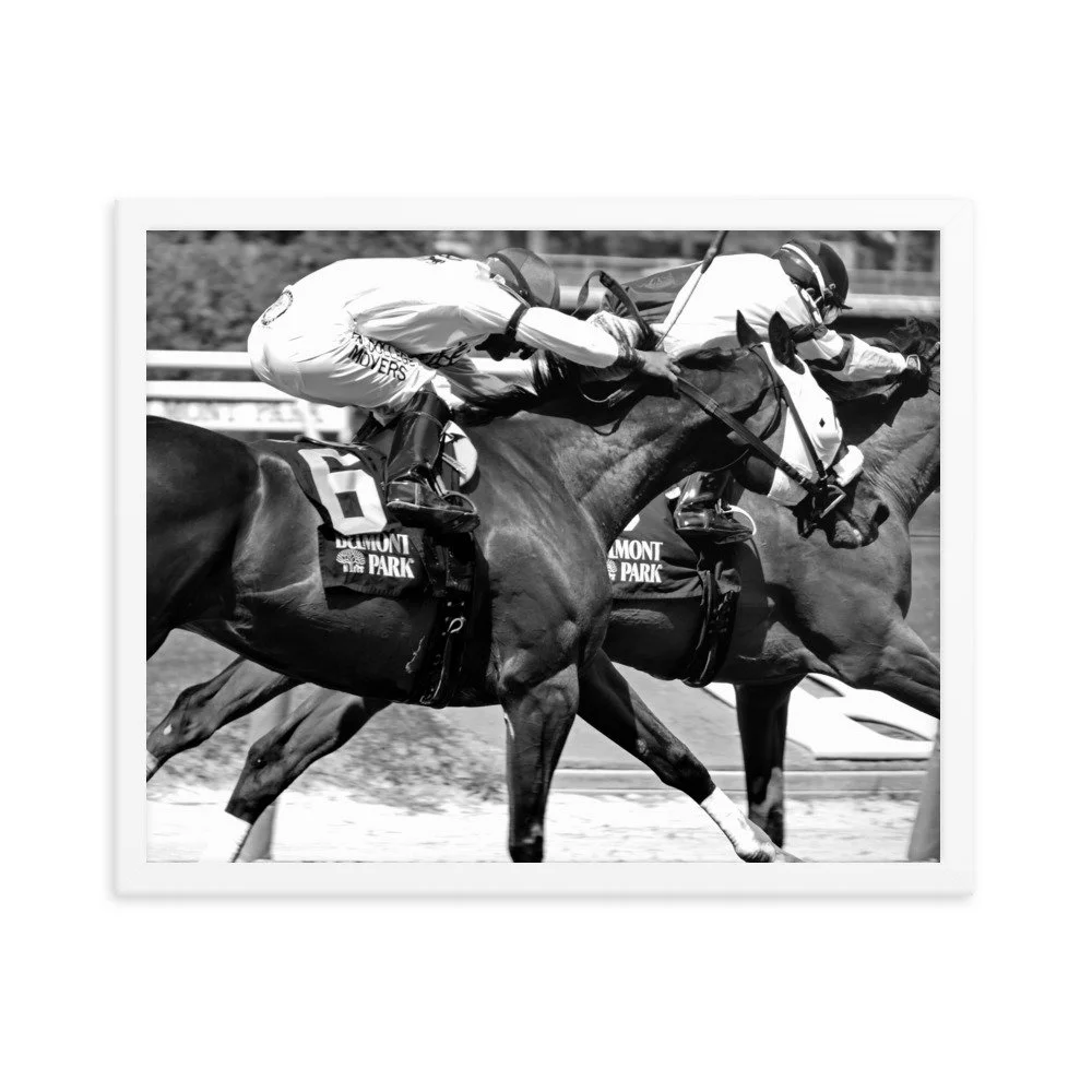 enhanced-matte-paper-framed-poster-(in)-white-16x20-transparent-6534402f07ec0.jpg