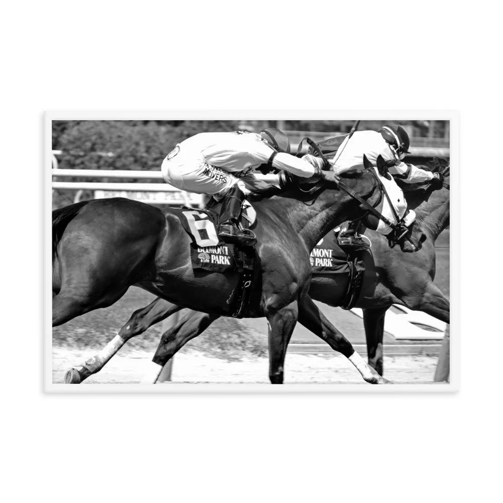 enhanced-matte-paper-framed-poster-(in)-white-24x36-transparent-6534402f07fd0.jpg