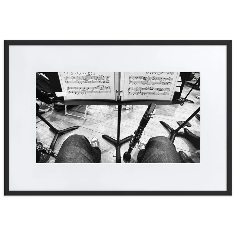 matte-paper-framed-poster-with-mat-(cm)-black-61x91-cm-transparent-6538797c5295b.jpg