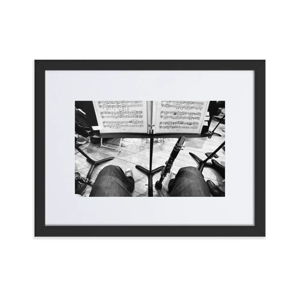 matte-paper-framed-poster-with-mat-(cm)-black-30x40-cm-transparent-6538797c53a6a.jpg
