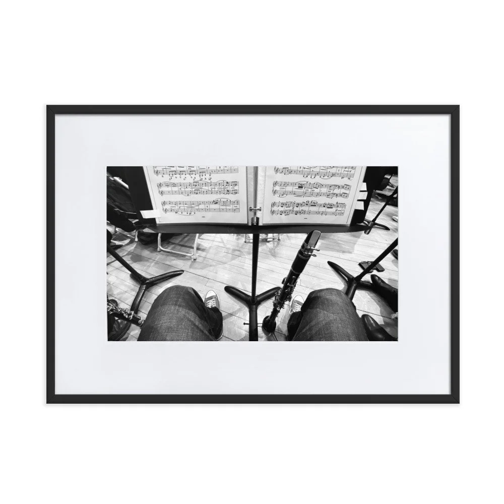 matte-paper-framed-poster-with-mat-(cm)-black-50x70-cm-transparent-6538797c53af7.jpg
