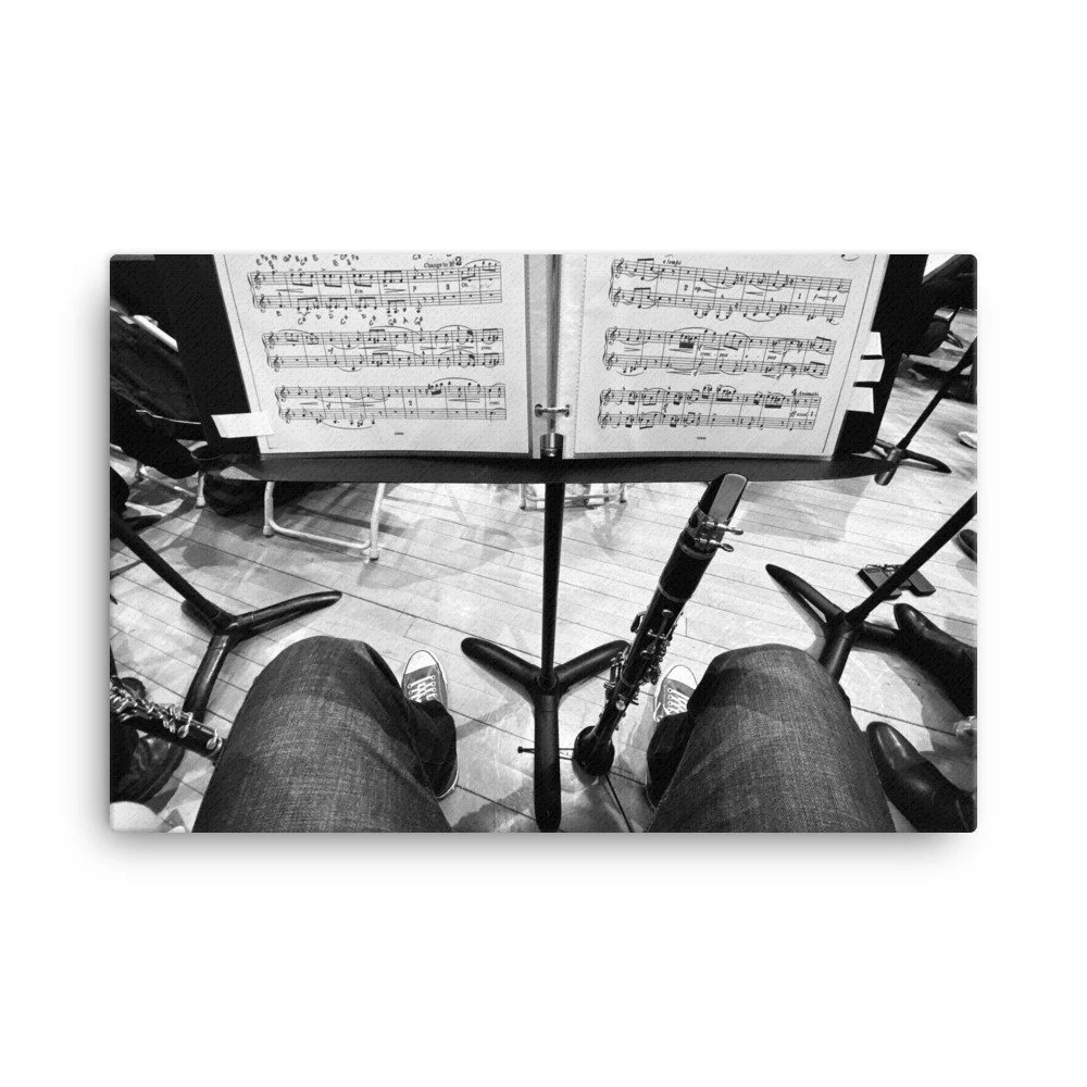 canvas-(in)-24x36-wall-65387ac2d4828.jpg