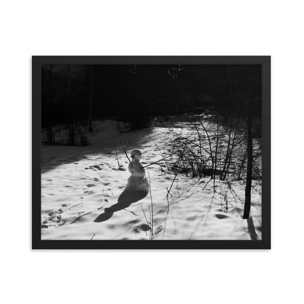 enhanced-matte-paper-framed-poster-(in)-black-16x20-transparent-6539c729e6695.jpg