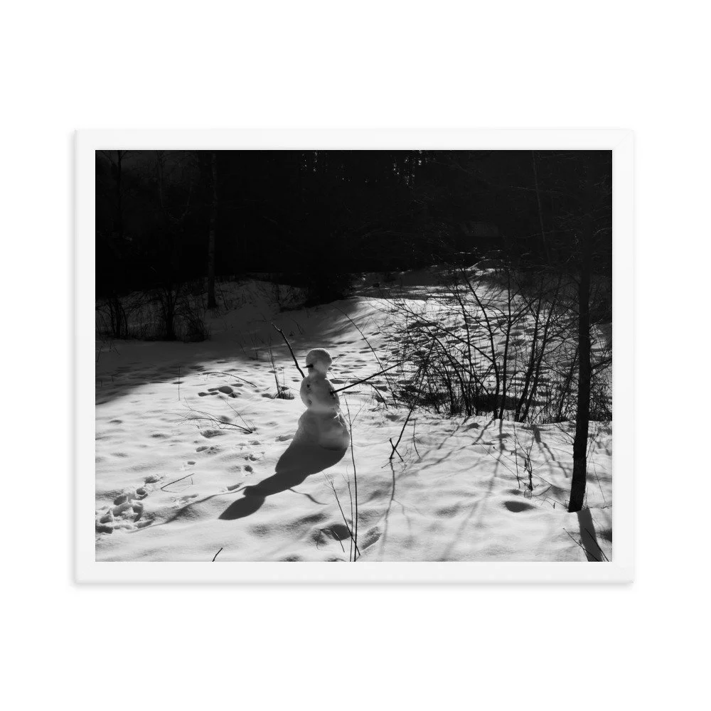 enhanced-matte-paper-framed-poster-(in)-white-16x20-transparent-6539c729e6831.jpg