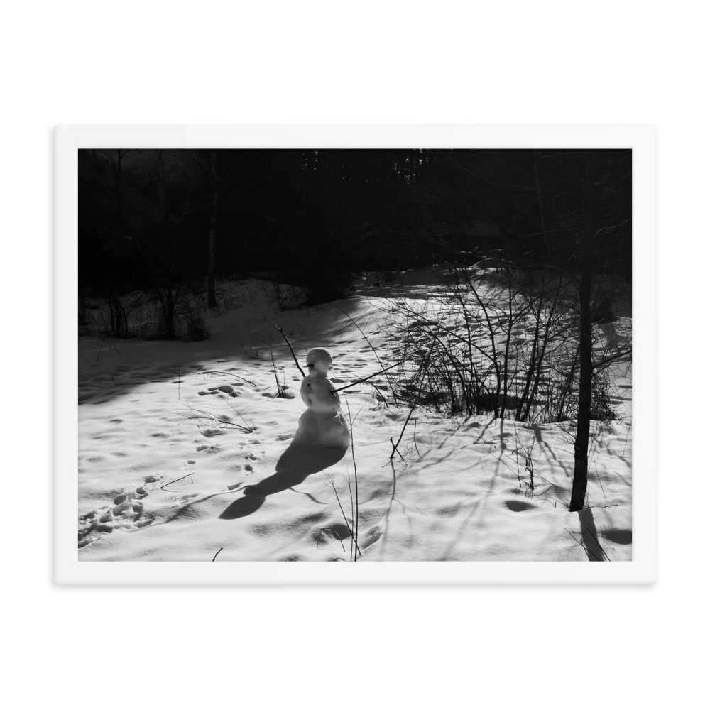 enhanced-matte-paper-framed-poster-(in)-white-18x24-transparent-6539c729e68ab.jpg
