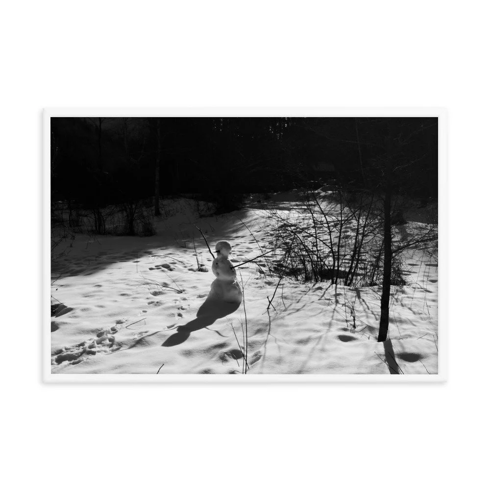 enhanced-matte-paper-framed-poster-(in)-white-24x36-transparent-6539c729e6926.jpg