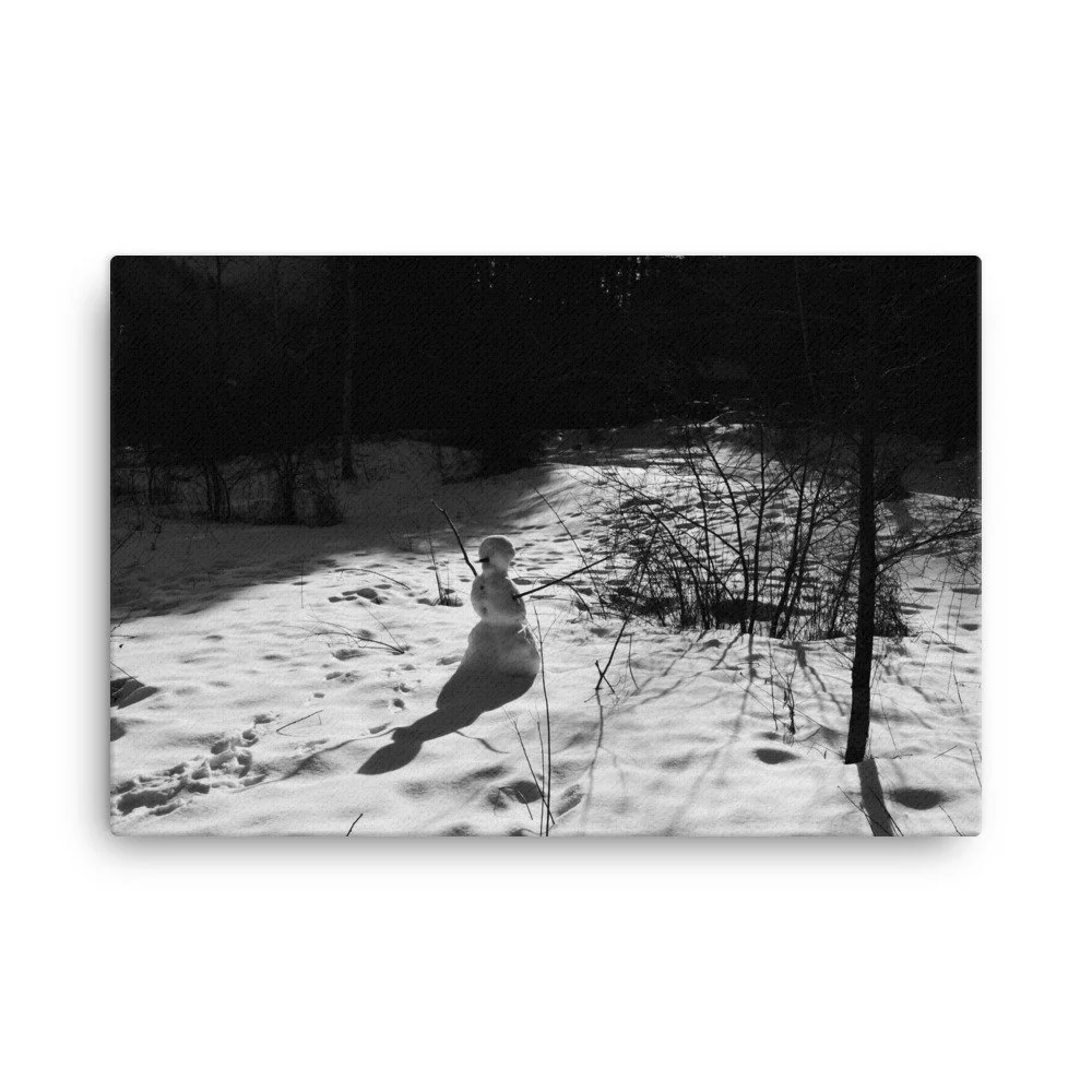 canvas-(in)-24x36-wall-6539c916d2bf5.jpg