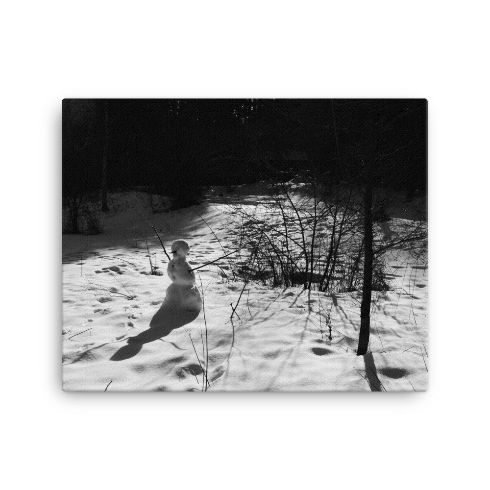 canvas-(in)-16x20-wall-6539c916d3855.jpg