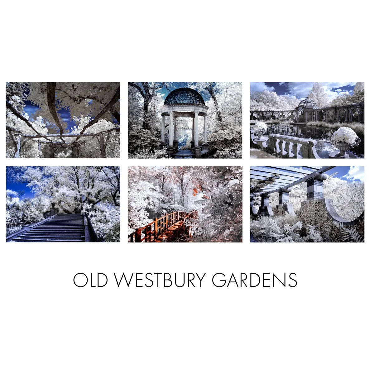_Card Box Insert - Old Westbury Gardens.jpg