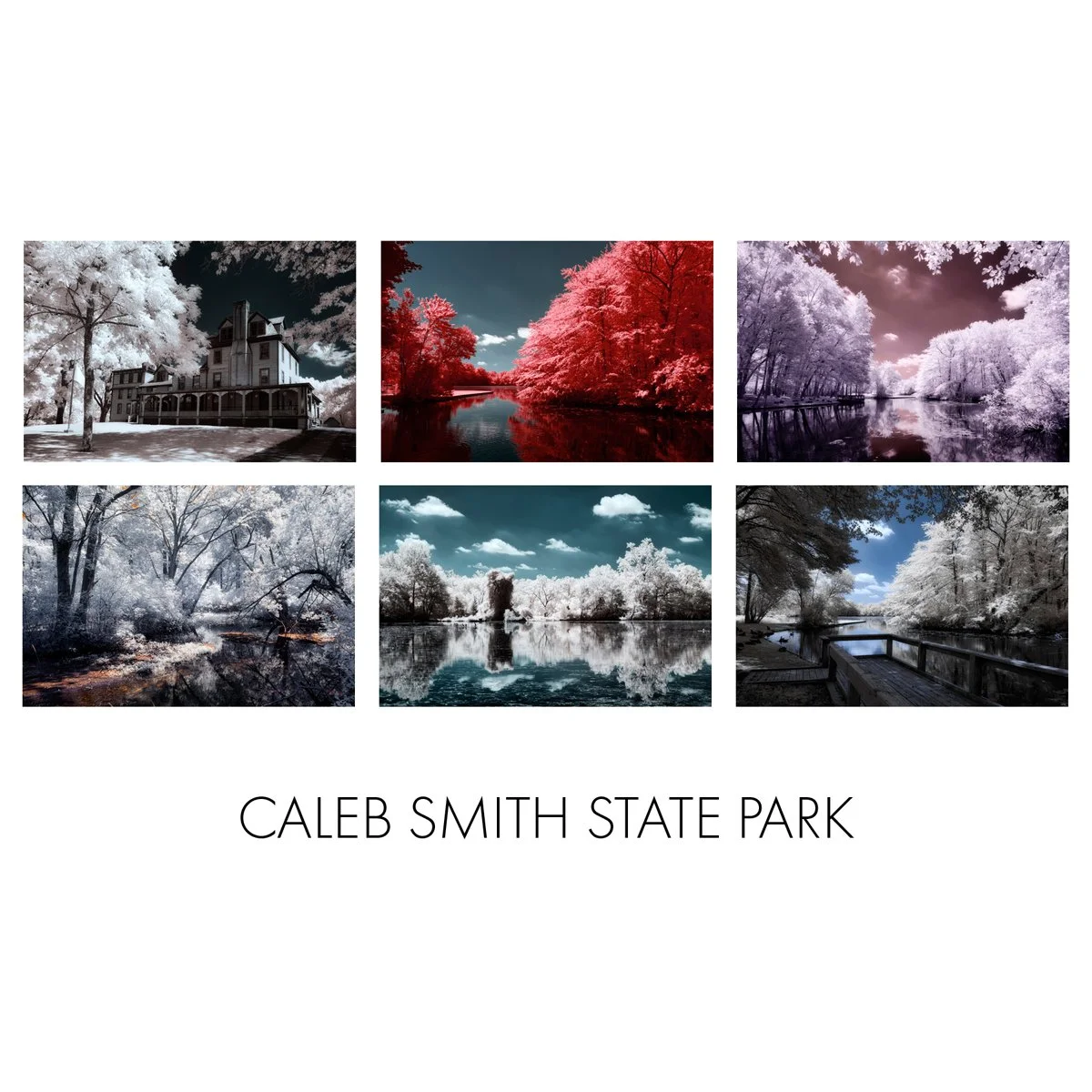 _Card Box Insert - Caleb Smith.jpg