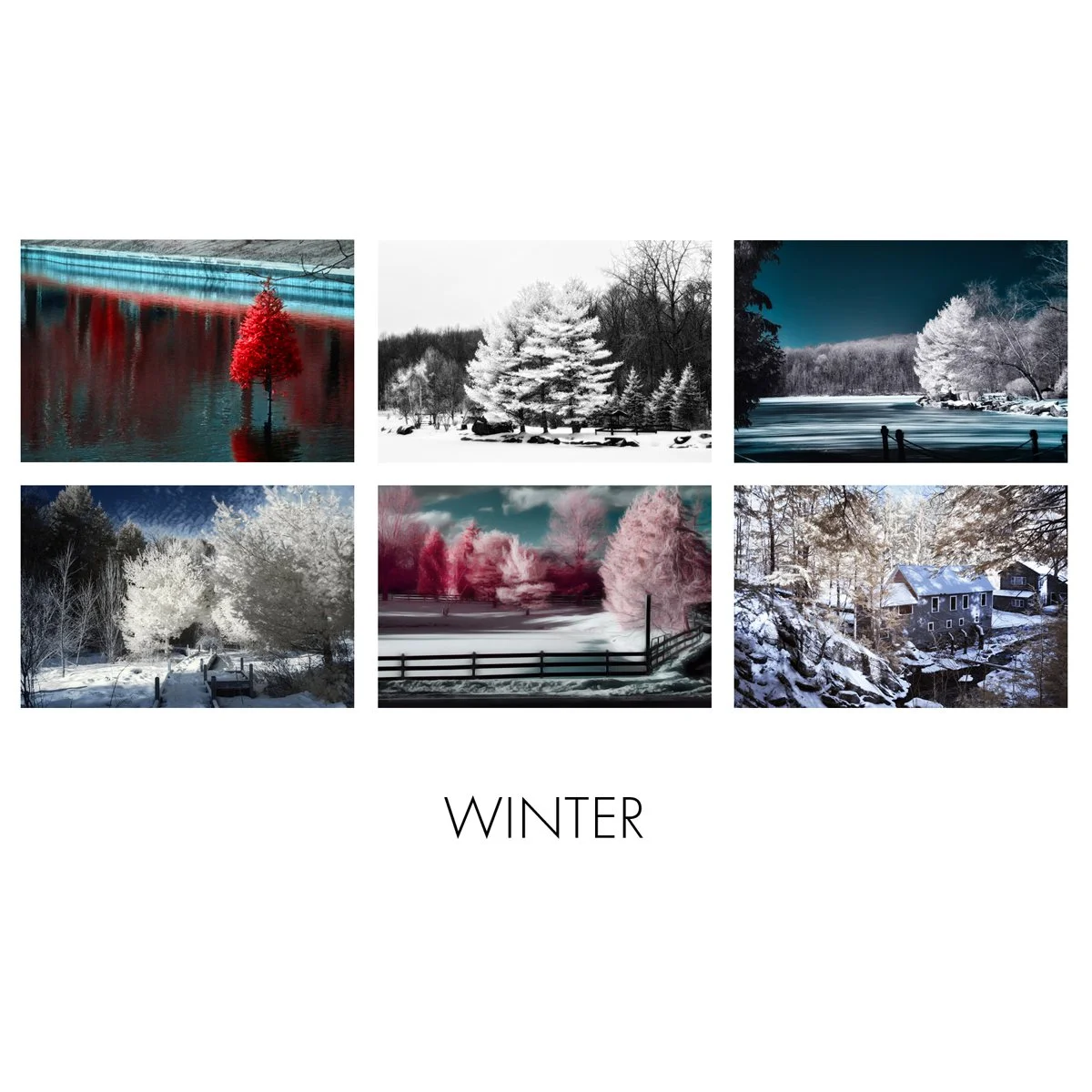_Card Box Insert - _Winter.jpg