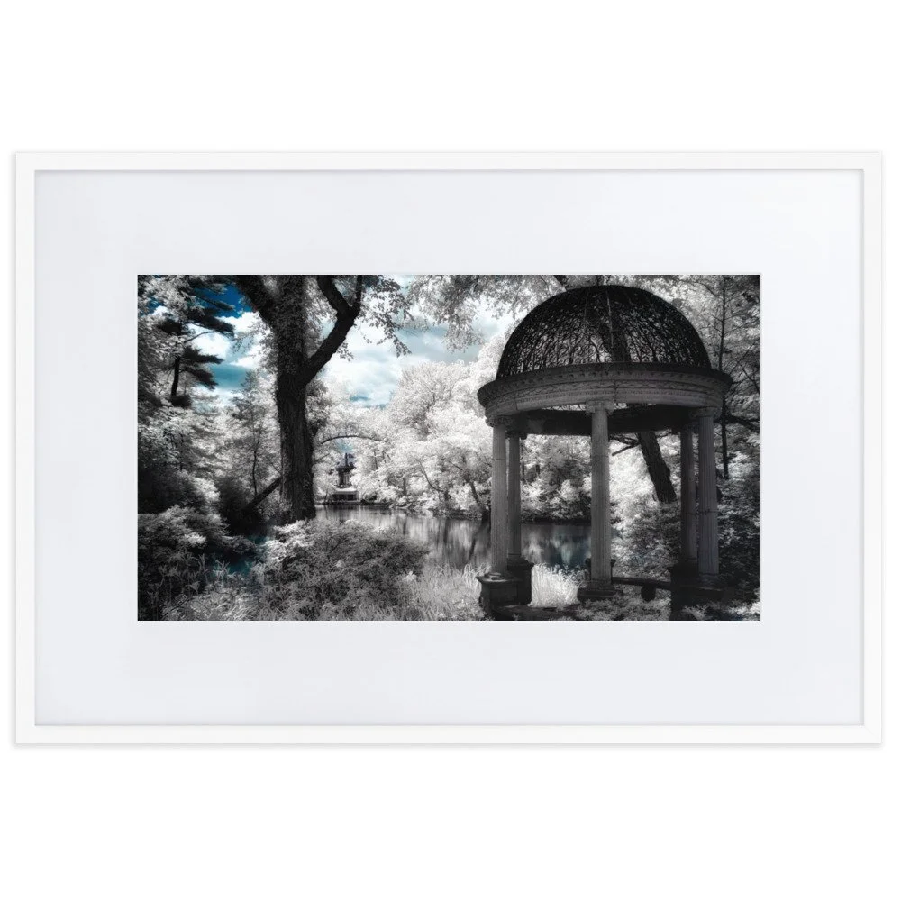 matte-paper-framed-poster-with-mat-(cm)-white-61x91-cm-transparent-65b6a09018e70.jpg