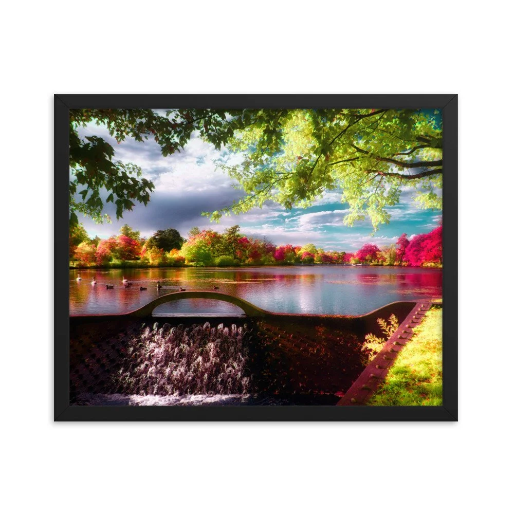 enhanced-matte-paper-framed-poster-(in)-black-16x20-transparent-65b6c409b5d86.jpg