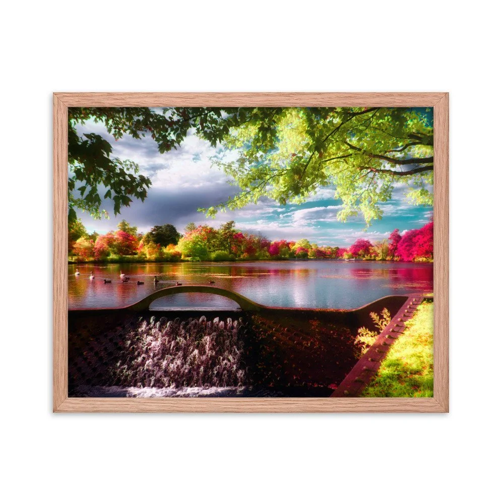 enhanced-matte-paper-framed-poster-(in)-red-oak-16x20-transparent-65b6c409b5ee8.jpg