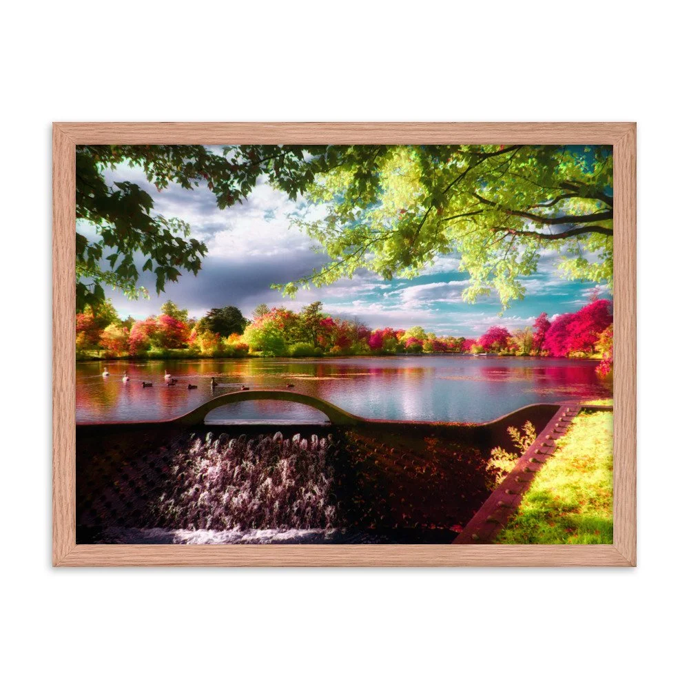 enhanced-matte-paper-framed-poster-(in)-red-oak-18x24-transparent-65b6c409b5f49.jpg