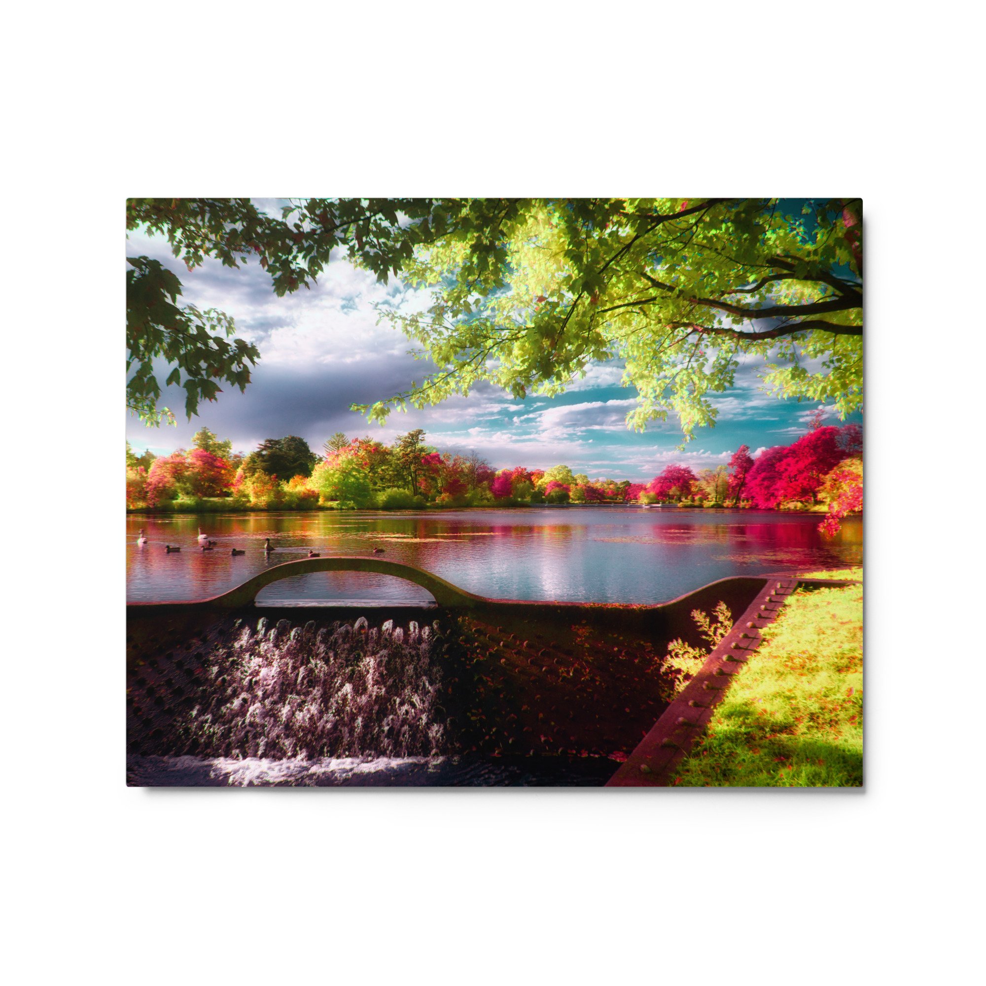 glossy-metal-print-(in)-white-16x20-front-65b6c764d485e.jpg