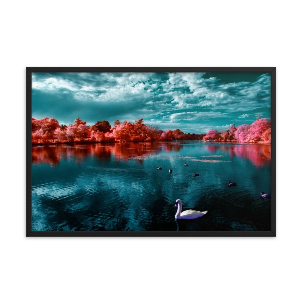 enhanced-matte-paper-framed-poster-(in)-black-24x36-transparent-65c053ac53a88.jpg