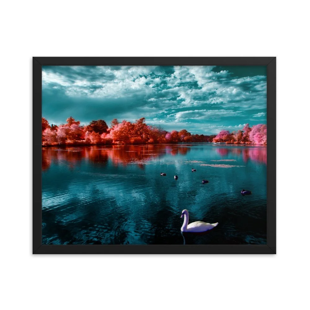 enhanced-matte-paper-framed-poster-(in)-black-16x20-transparent-65c053ac547e9.jpg