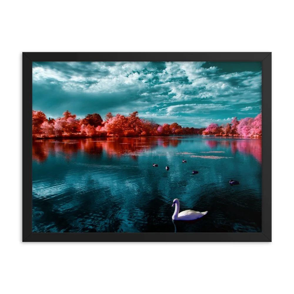 enhanced-matte-paper-framed-poster-(in)-black-18x24-transparent-65c053ac5488e.jpg