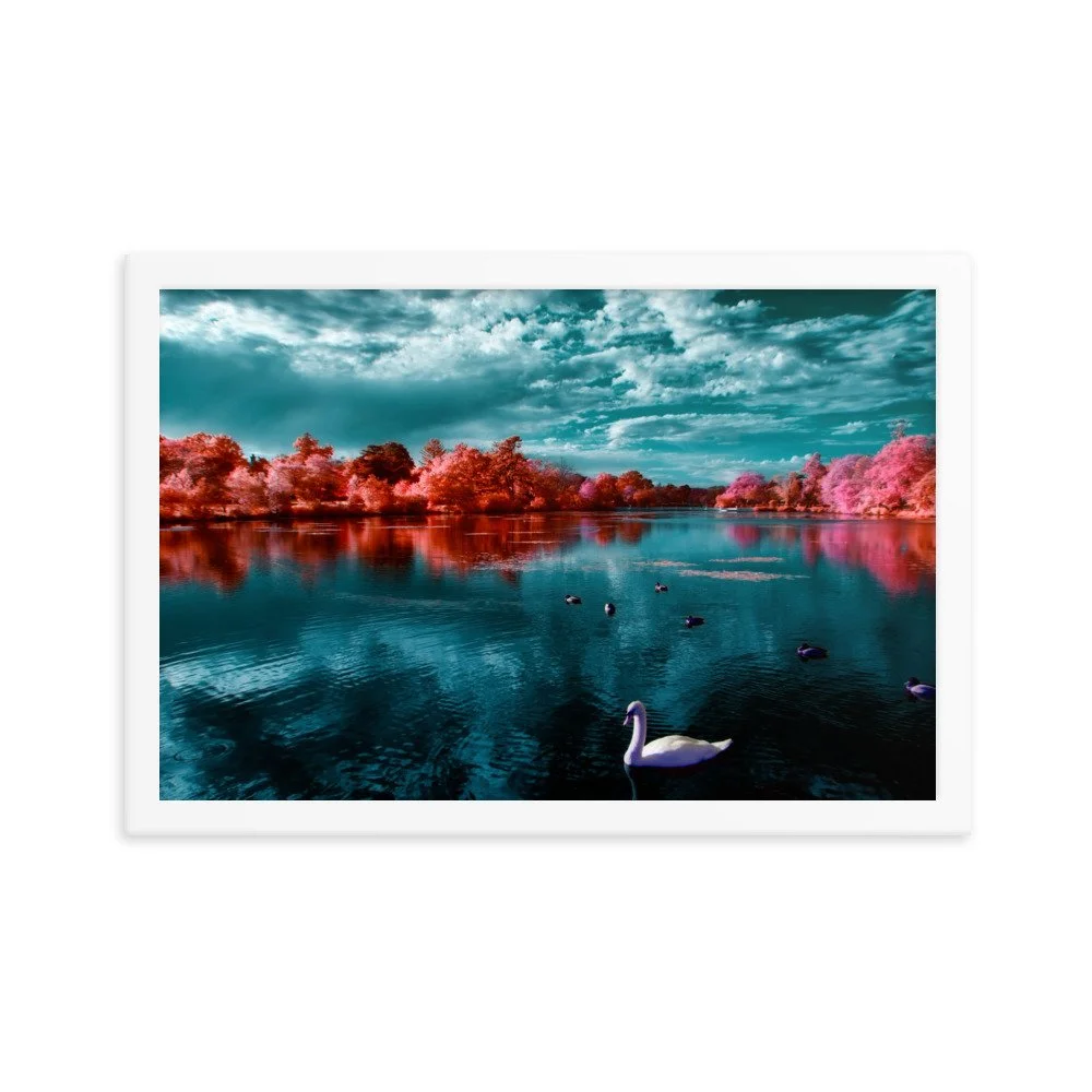 enhanced-matte-paper-framed-poster-(in)-white-12x18-transparent-65c053ac54951.jpg