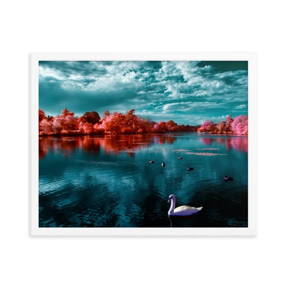 enhanced-matte-paper-framed-poster-(in)-white-16x20-transparent-65c053ac549c0.jpg