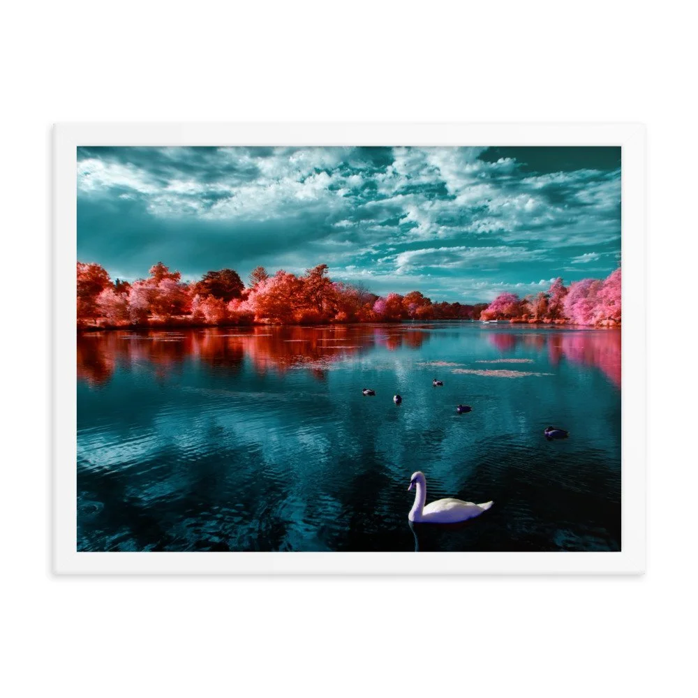 enhanced-matte-paper-framed-poster-(in)-white-18x24-transparent-65c053ac54a48.jpg