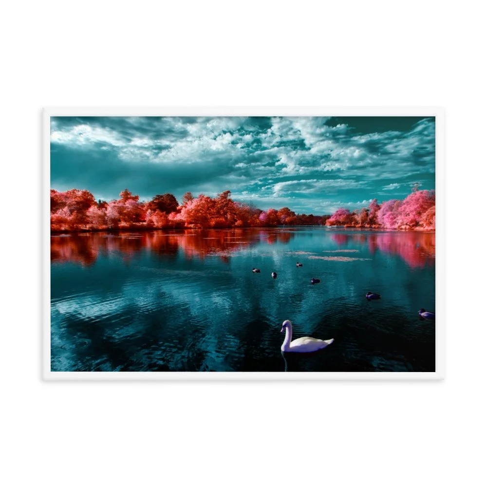 enhanced-matte-paper-framed-poster-(in)-white-24x36-transparent-65c053ac54af0.jpg