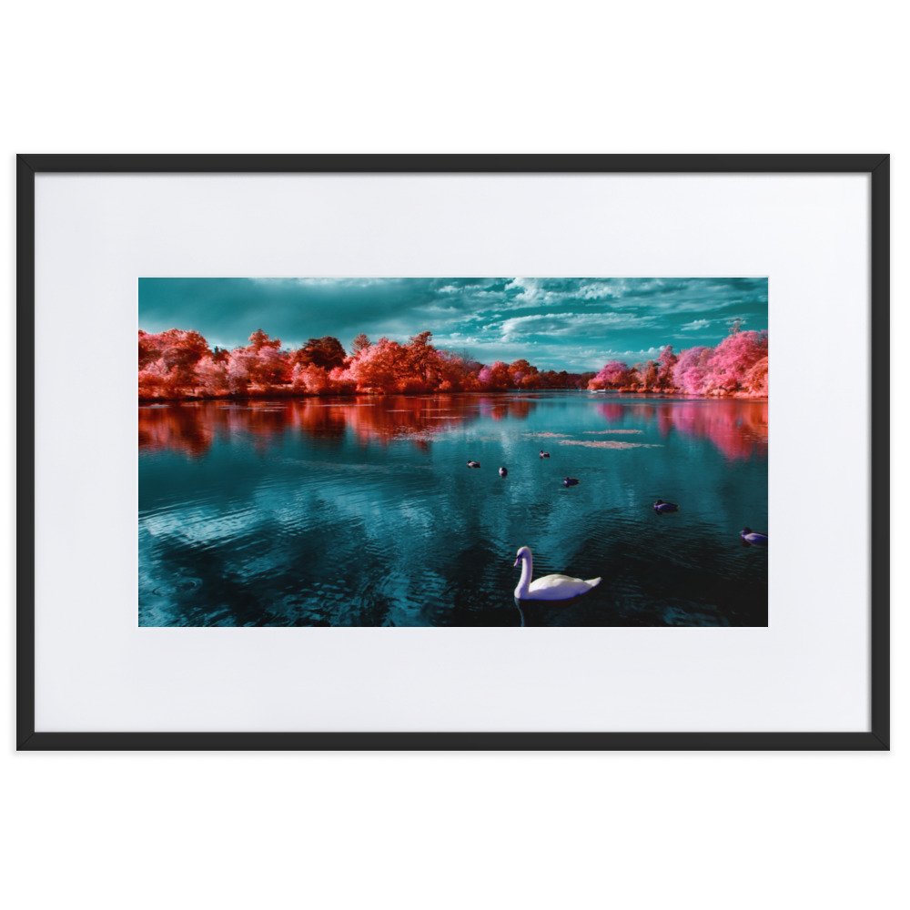 matte-paper-framed-poster-with-mat-(cm)-black-61x91-cm-transparent-65c054dbda794.jpg