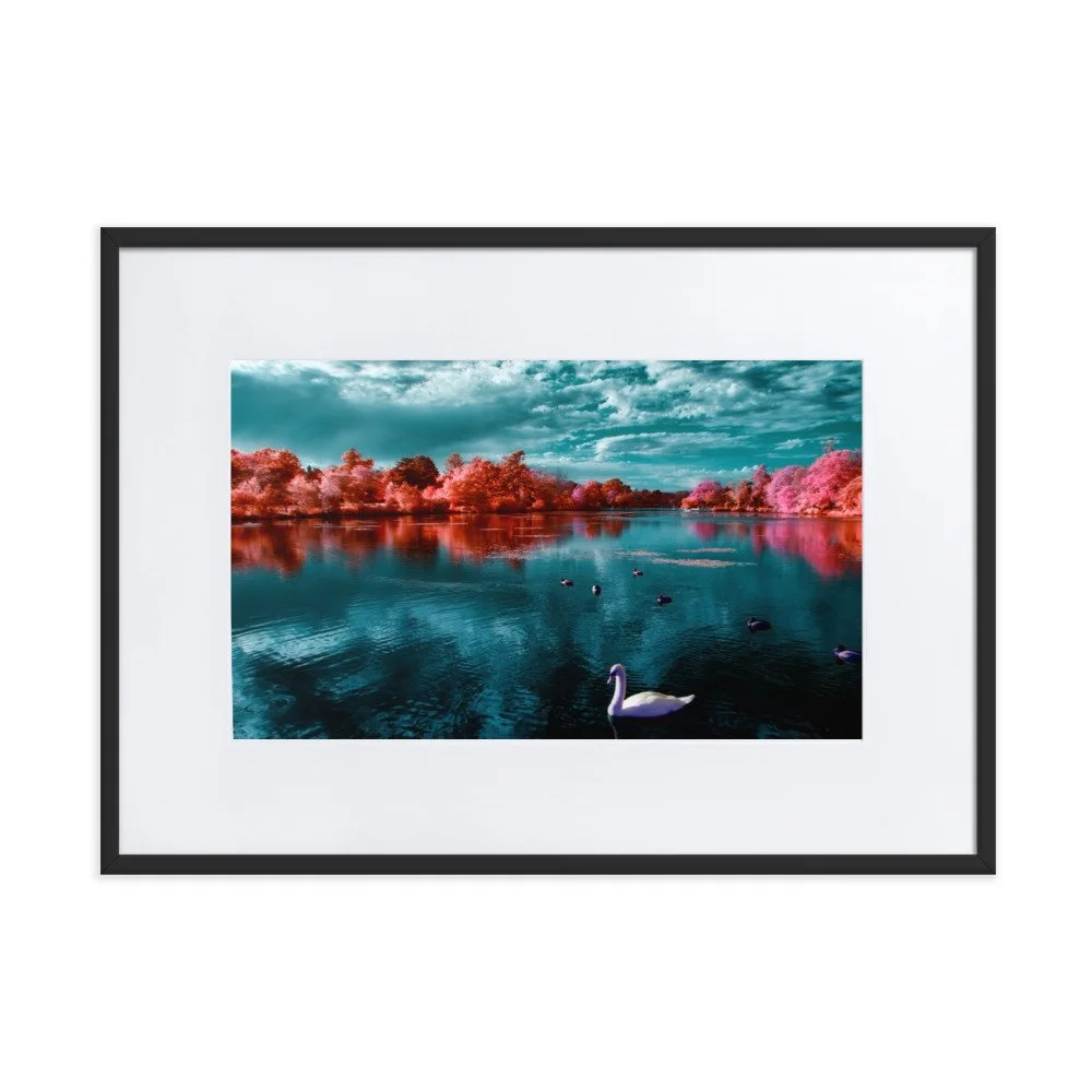matte-paper-framed-poster-with-mat-(cm)-black-50x70-cm-transparent-65c054dbdb59f.jpg