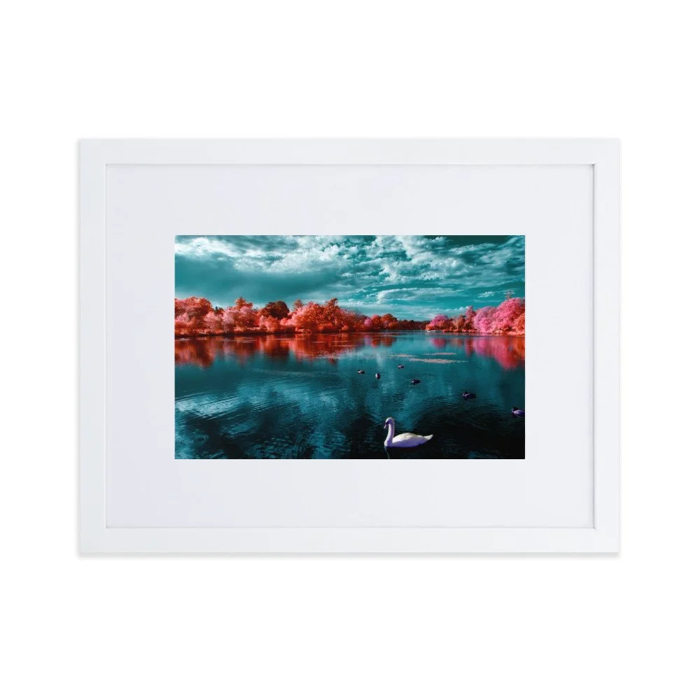 matte-paper-framed-poster-with-mat-(cm)-white-30x40-cm-transparent-65c054dbdb66f.jpg