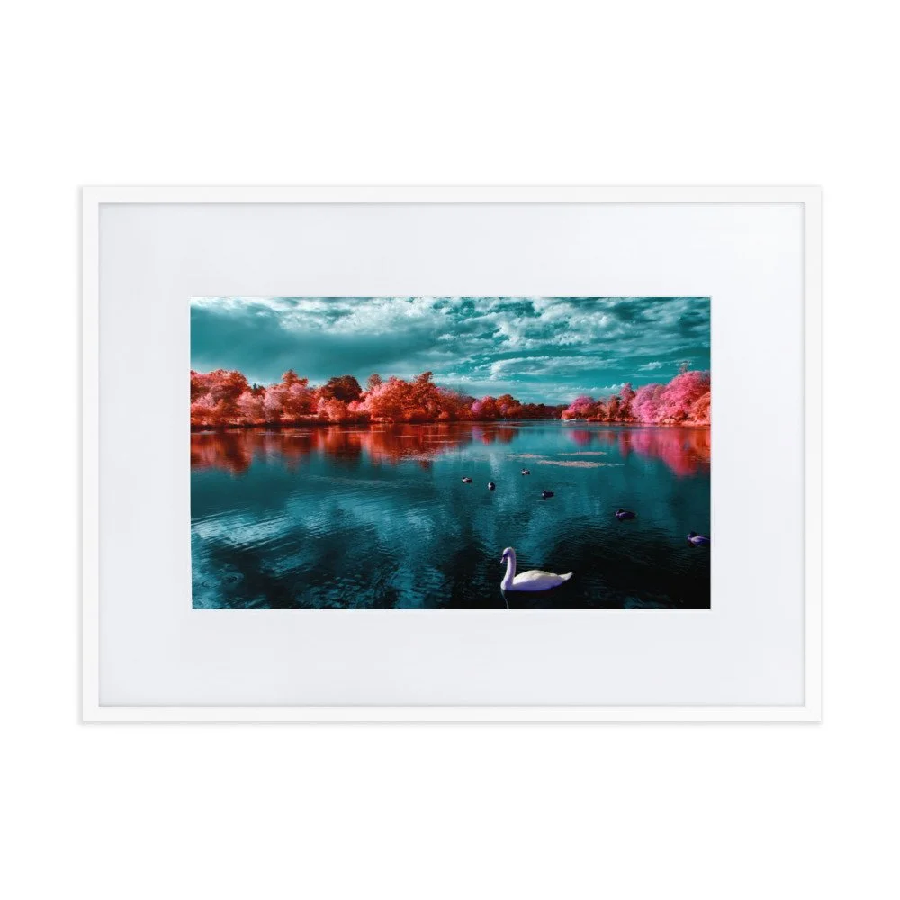 matte-paper-framed-poster-with-mat-(cm)-white-50x70-cm-transparent-65c054dbdb70f.jpg
