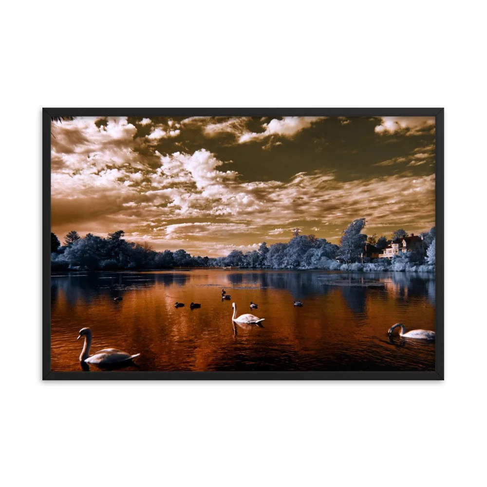 enhanced-matte-paper-framed-poster-(in)-black-24x36-transparent-65c0583be5ca3.jpg