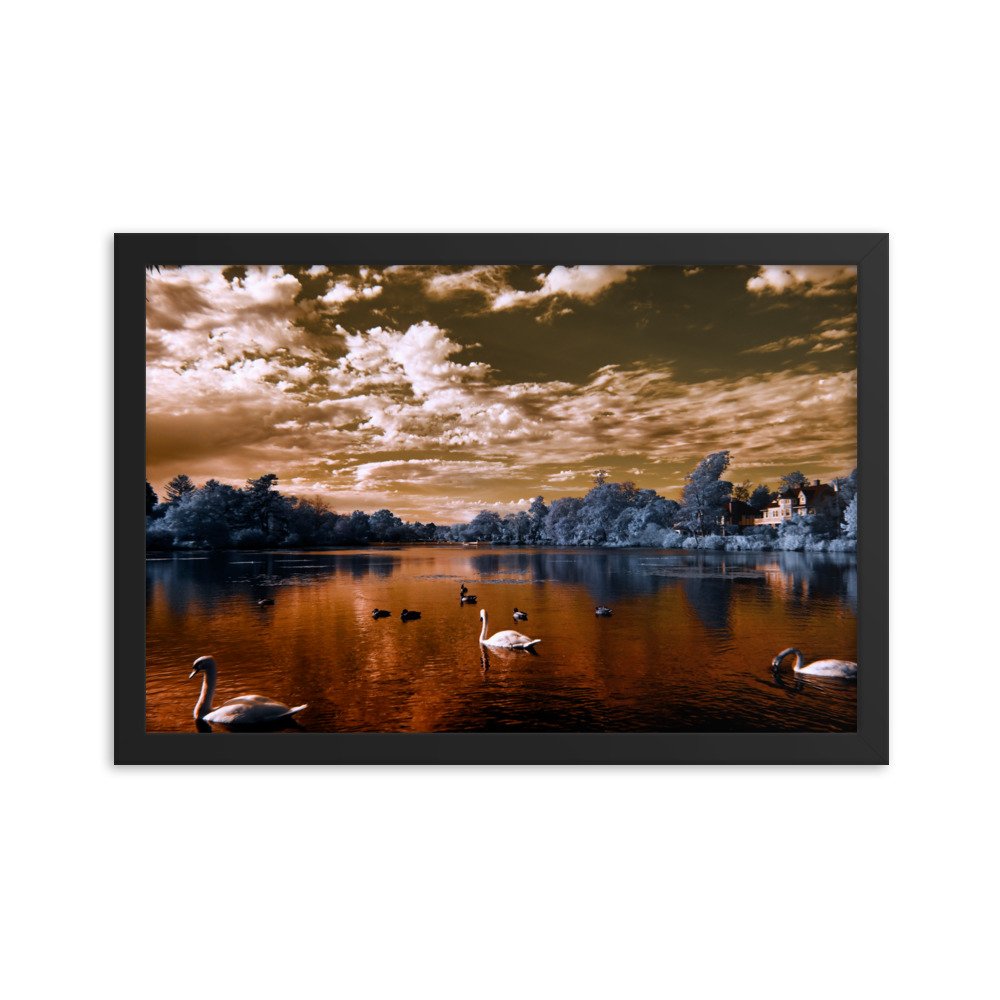 enhanced-matte-paper-framed-poster-(in)-black-12x18-transparent-65c0583be70f6.jpg