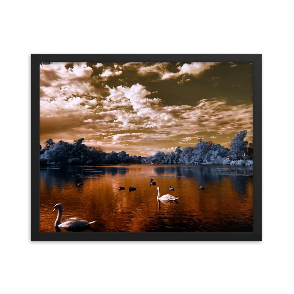 enhanced-matte-paper-framed-poster-(in)-black-16x20-transparent-65c0583be7183.jpg