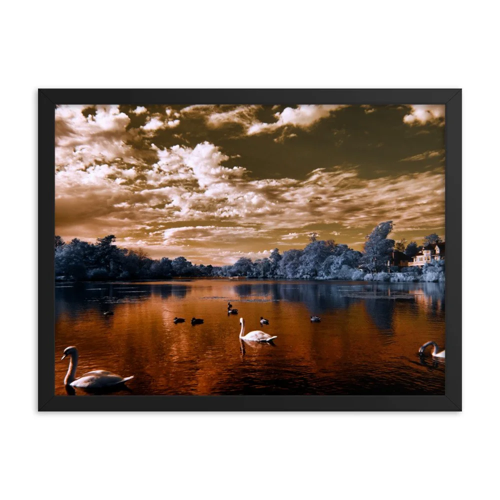enhanced-matte-paper-framed-poster-(in)-black-18x24-transparent-65c0583be71ef.jpg