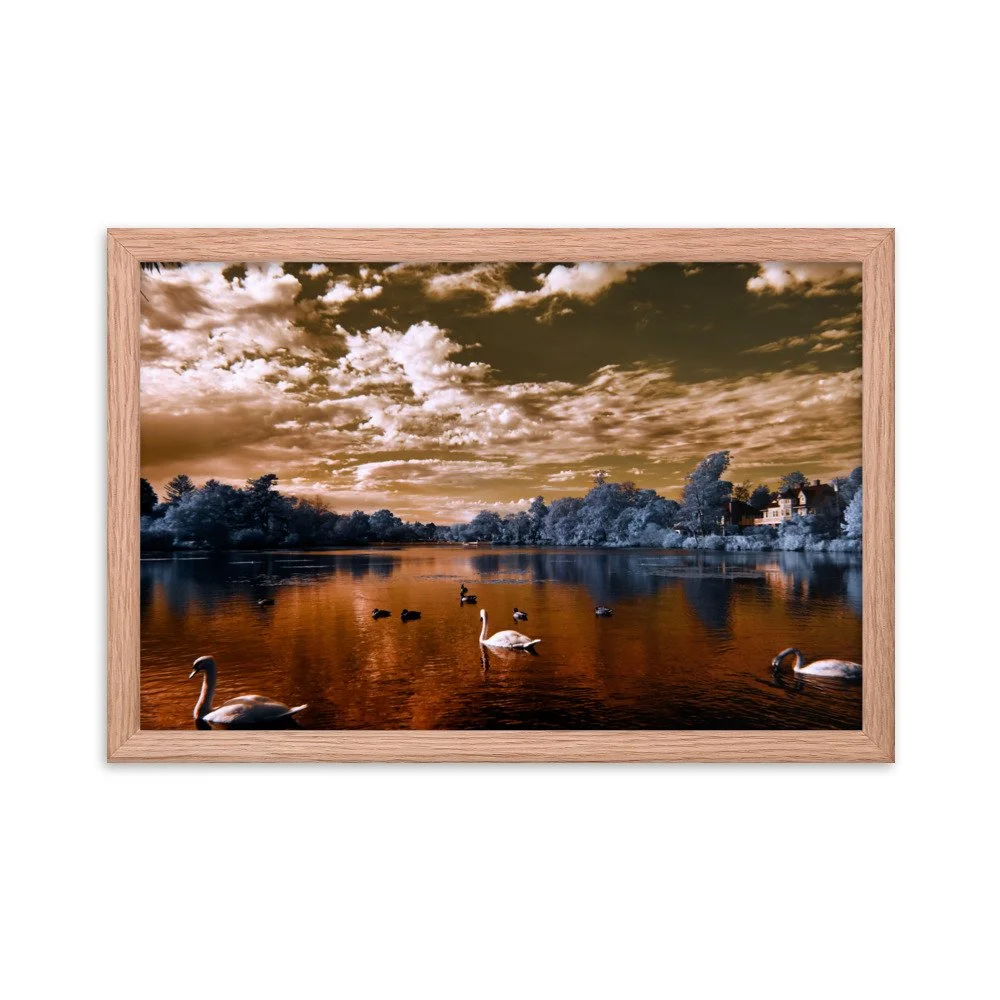 enhanced-matte-paper-framed-poster-(in)-red-oak-12x18-transparent-65c0583be729b.jpg