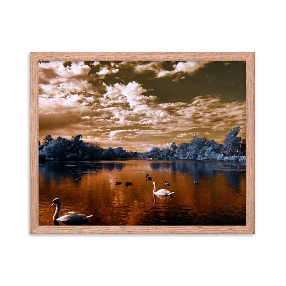 enhanced-matte-paper-framed-poster-(in)-red-oak-16x20-transparent-65c0583be7314.jpg