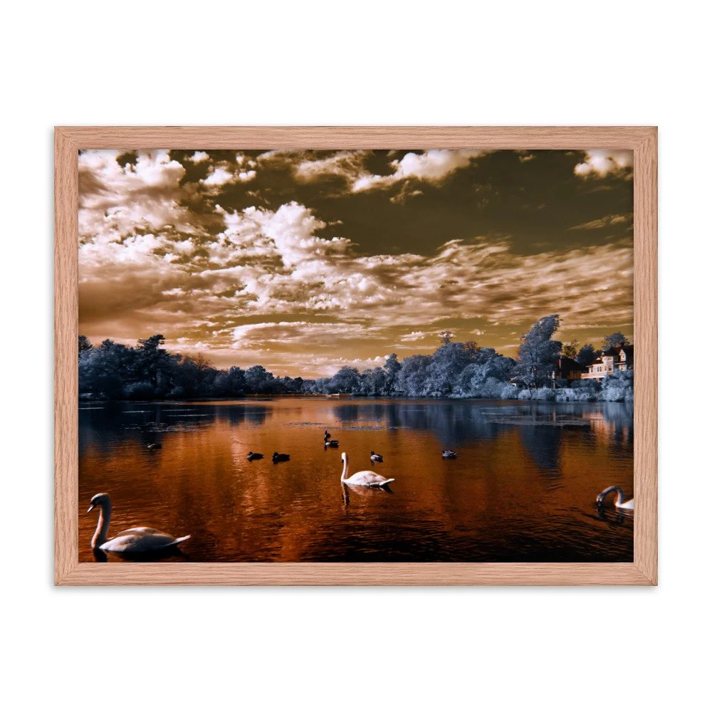 enhanced-matte-paper-framed-poster-(in)-red-oak-18x24-transparent-65c0583be7390.jpg