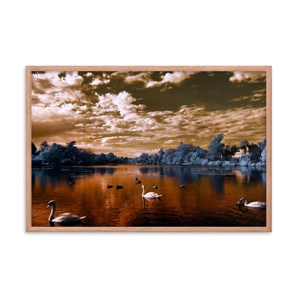 enhanced-matte-paper-framed-poster-(in)-red-oak-24x36-transparent-65c0583be7441.jpg