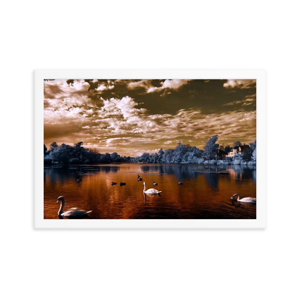 enhanced-matte-paper-framed-poster-(in)-white-12x18-transparent-65c0583be74f3.jpg
