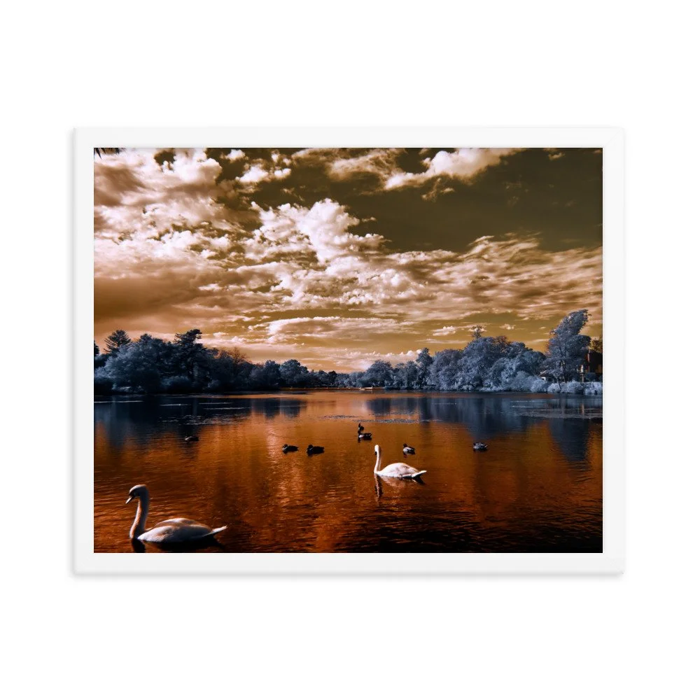 enhanced-matte-paper-framed-poster-(in)-white-16x20-transparent-65c0583be75a3.jpg