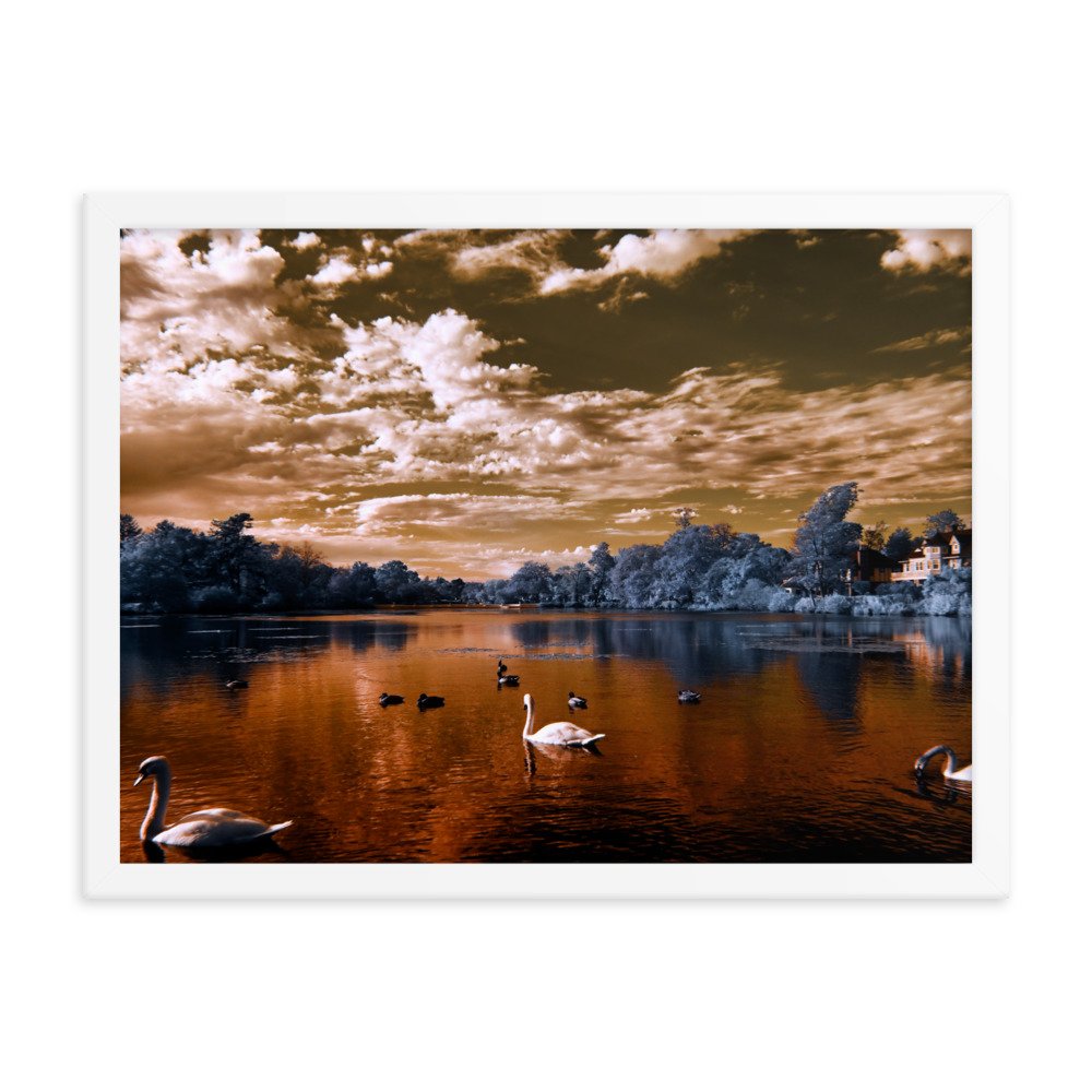 enhanced-matte-paper-framed-poster-(in)-white-18x24-transparent-65c0583be7652.jpg