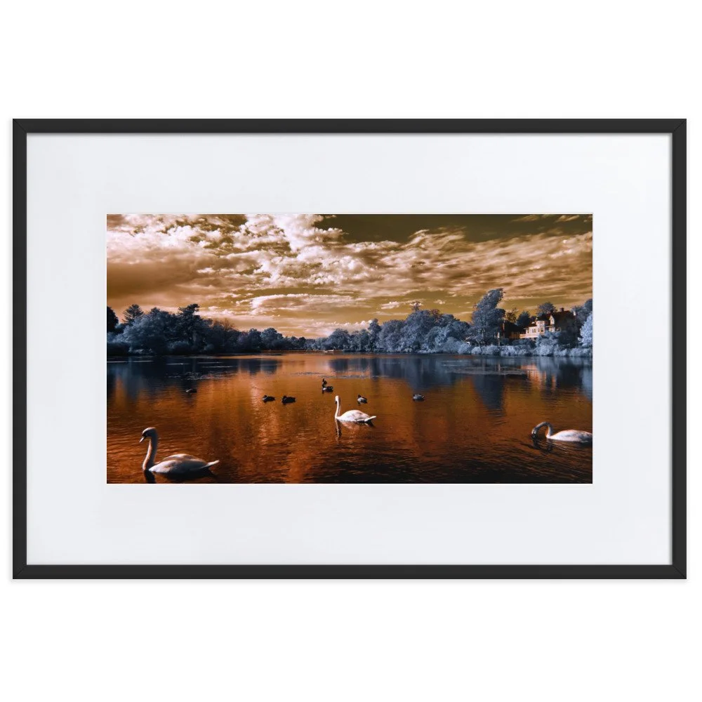 matte-paper-framed-poster-with-mat-(cm)-black-61x91-cm-transparent-65c05927bba7c.jpg