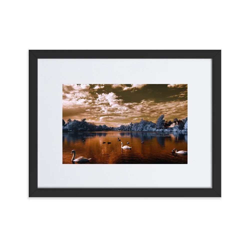 matte-paper-framed-poster-with-mat-(cm)-black-30x40-cm-transparent-65c05927bcbf8.jpg