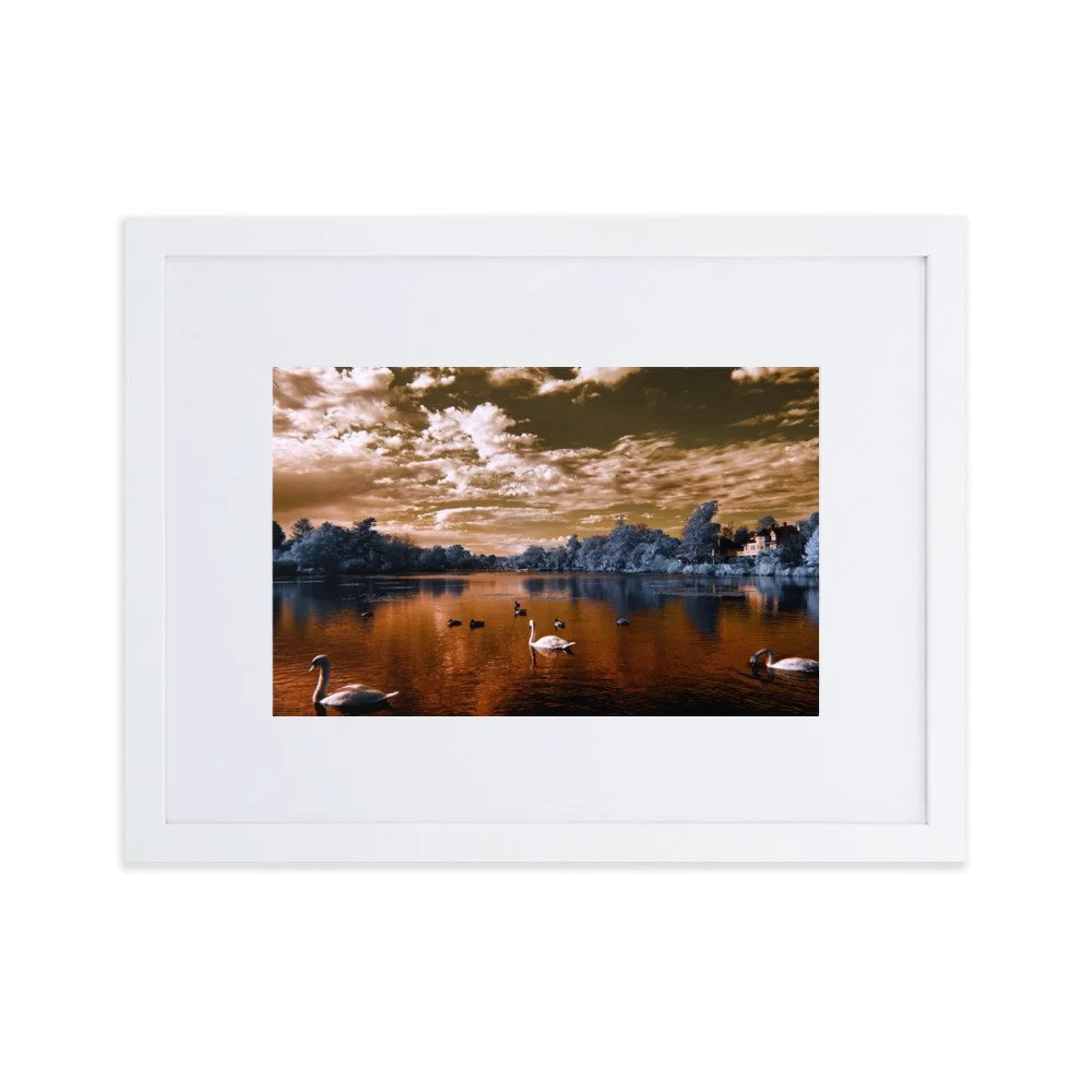 matte-paper-framed-poster-with-mat-(cm)-white-30x40-cm-transparent-65c05927bcd01.jpg