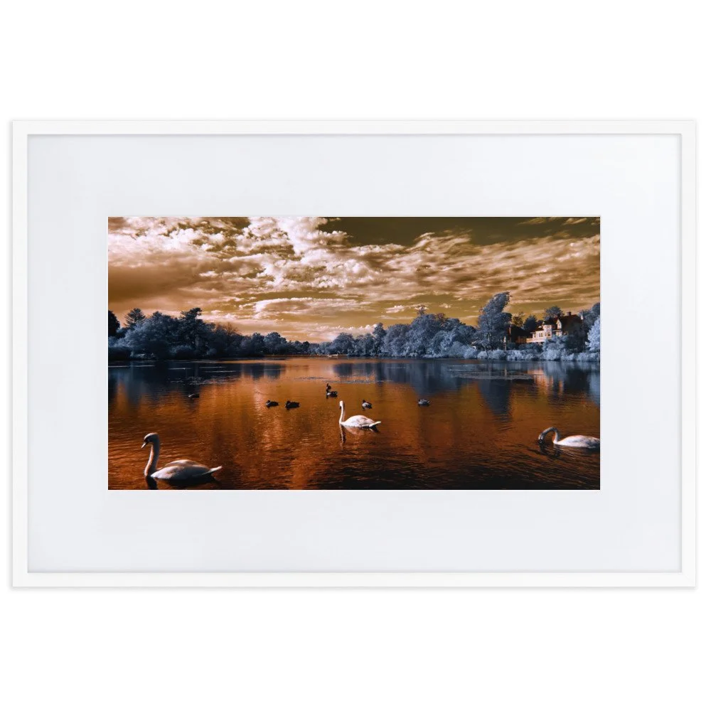 matte-paper-framed-poster-with-mat-(cm)-white-61x91-cm-transparent-65c05927bce1f.jpg