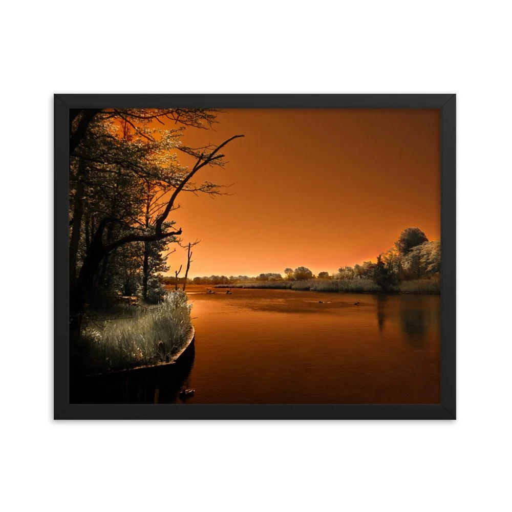 enhanced-matte-paper-framed-poster-(in)-black-16x20-transparent-674a32d78e634.jpg