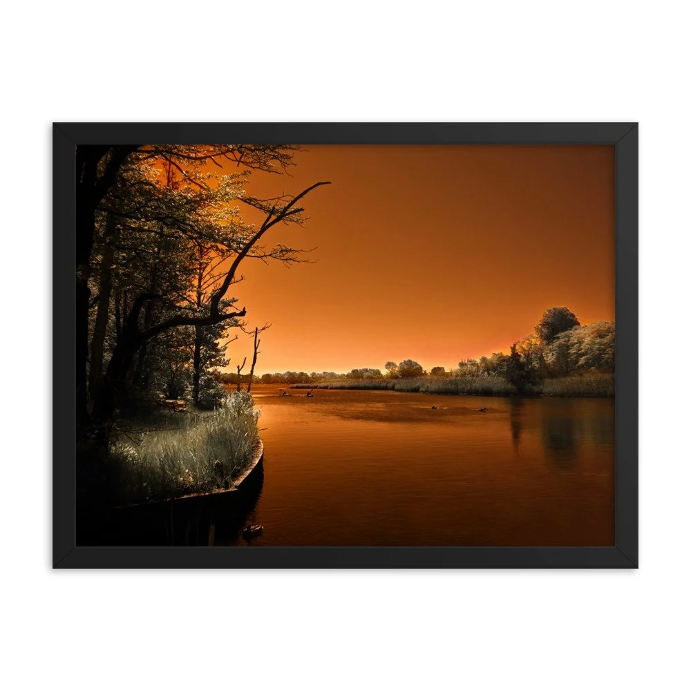 enhanced-matte-paper-framed-poster-(in)-black-18x24-transparent-674a32d78e6ca.jpg